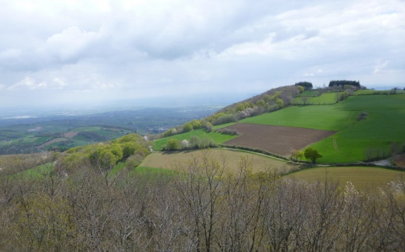 Rando des Badrais - St Didier Sous Riverie - 24 avril 2016